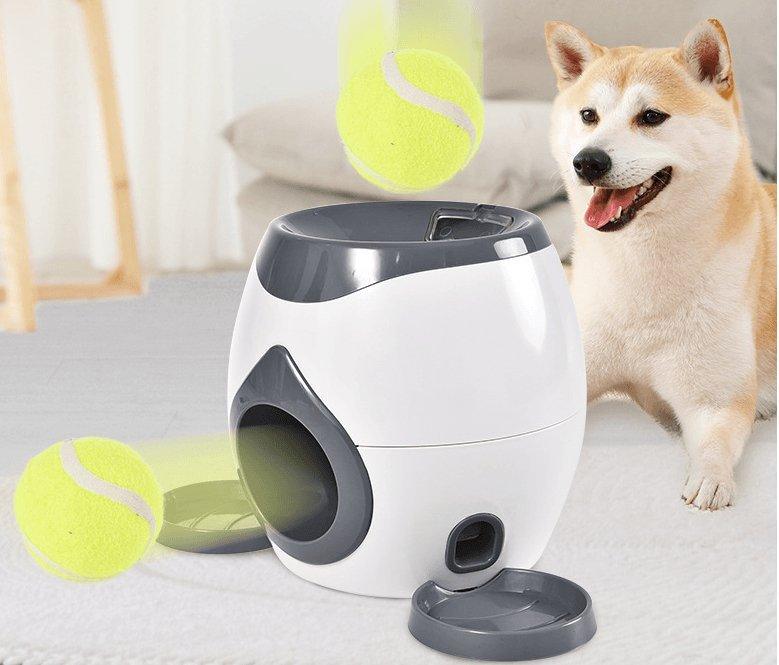Sistema automático de entrenamiento y alimentación de mascotas